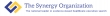 The Synergy Organization, Inc.